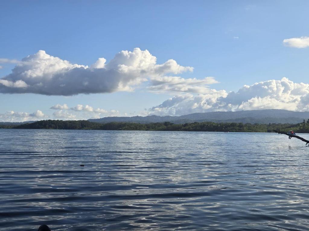 Phong cảnh thiên nhiên gần nhà nghỉ dưỡng