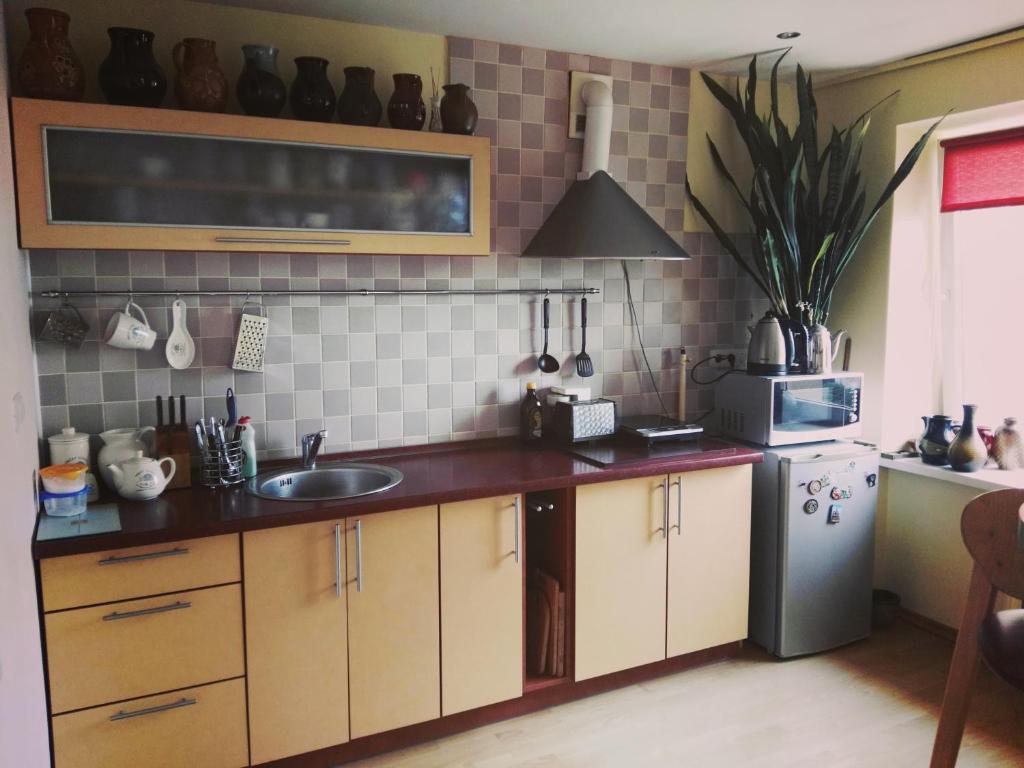 a small kitchen with a sink and a microwave at Green Hall apartment in Ignalina
