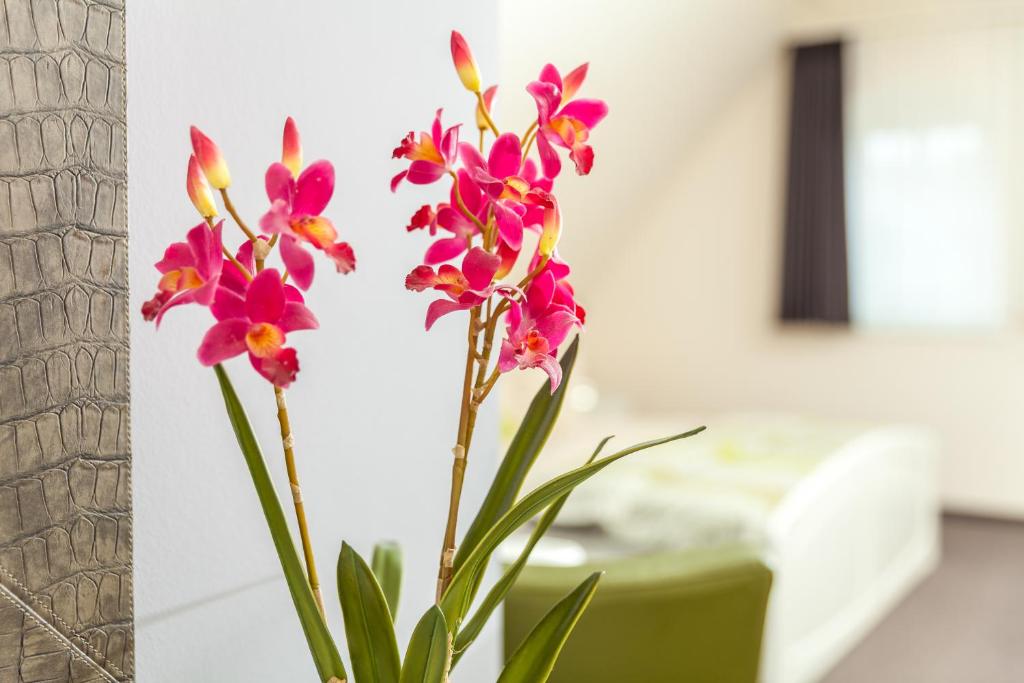 Altstadt-Hotel - Apartamento Exclusivo (2 Adultos)