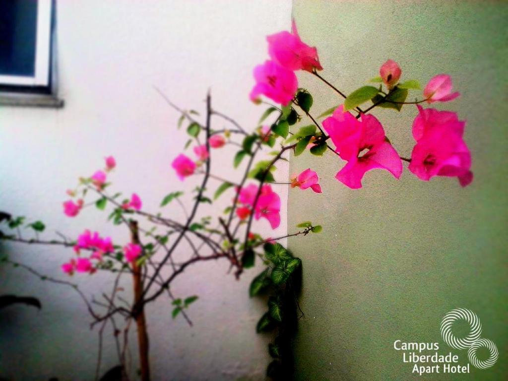 Campus Liberdade Flat