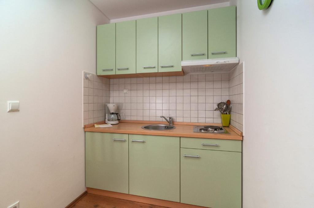 Kuchyňa alebo kuchynka v ubytovaní Apartment Božan