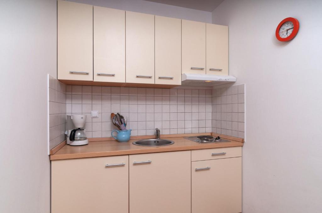 Kuchyňa alebo kuchynka v ubytovaní Apartment Božan