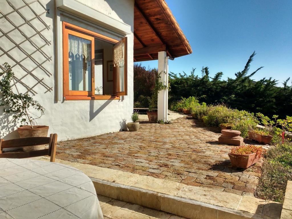 Zahrada ubytování Casa Algarrobo Chile