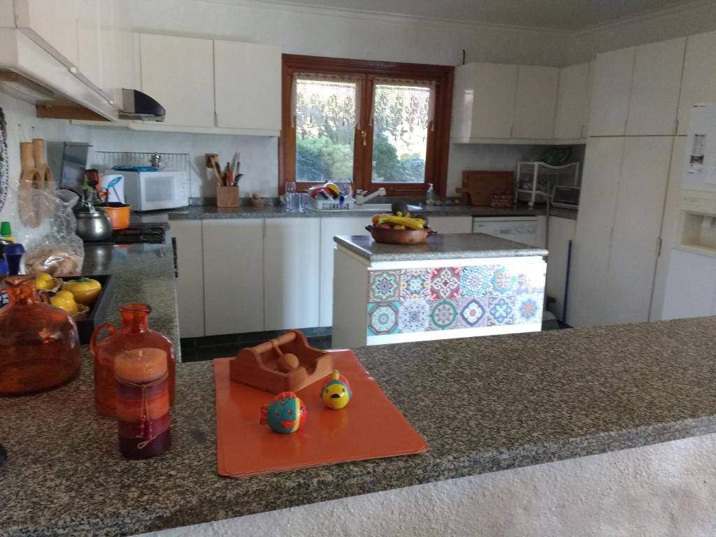 Kuchyň nebo kuchyňský kout v ubytování Casa Algarrobo Chile