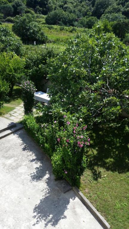 Zahrada ubytování Apartments Luka