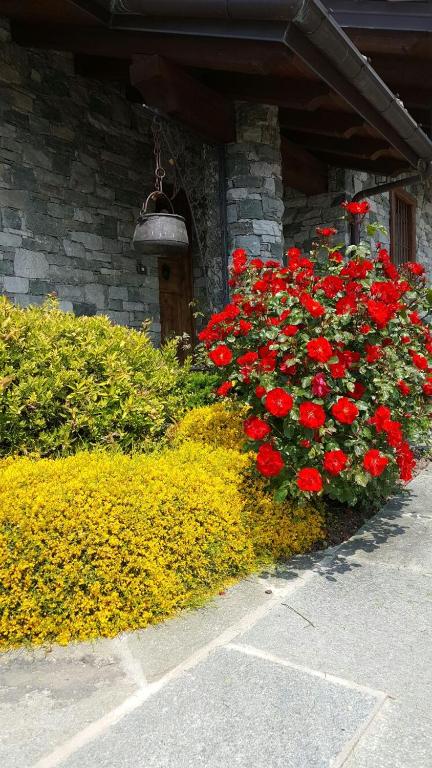 Vonkajšia záhrada v ubytovaní Appartamento Fleur Des Neiges