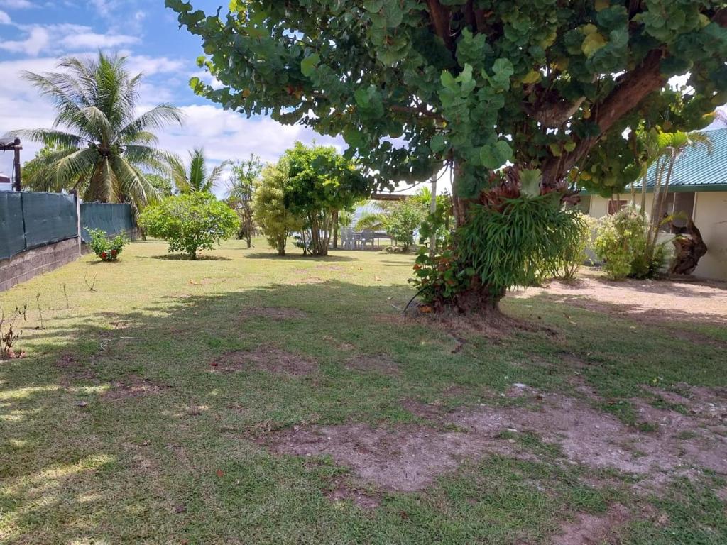 Le spot, Fare - photo 9 - Huahine, Polynésie