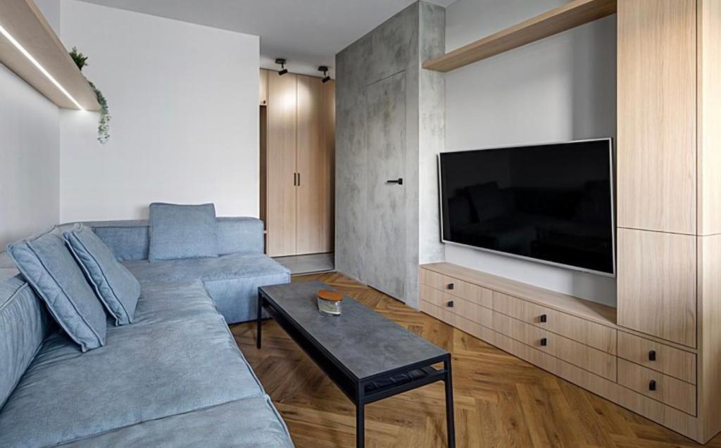a living room with a couch and a flat screen tv at Pokoj Harmonie 