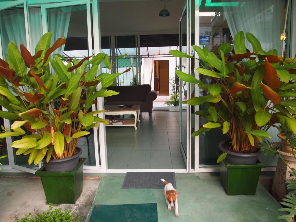 Zahrada ubytování Hacienda Phuket