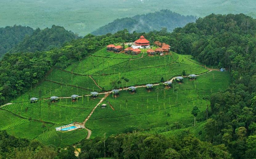 an aerial view of a farm on a hill at Wild Planet Jungle Resort in Devāla