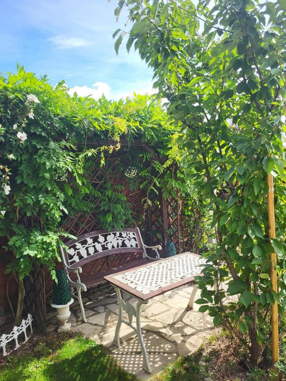 Studio Colmar avec jardin privatif – photo 18