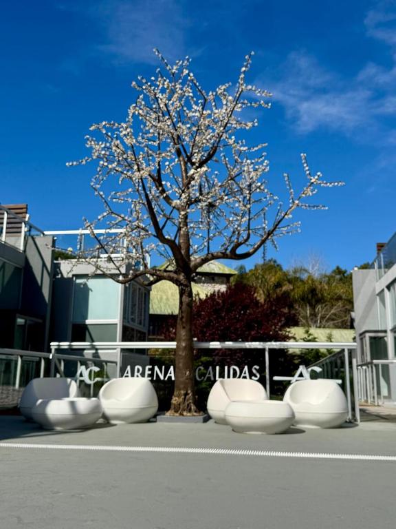 a tree in front of a building with a tree at Arenas Calidas Carilo in Carilo