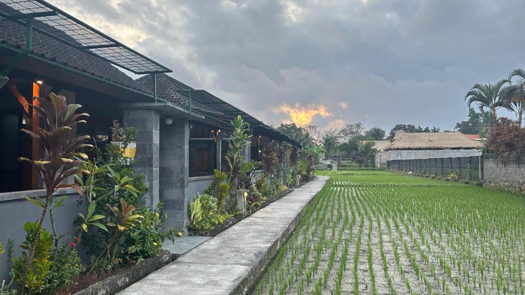 a house with a grass yard next to a building at Ketut's Place Penestanan Ubud in Ubud