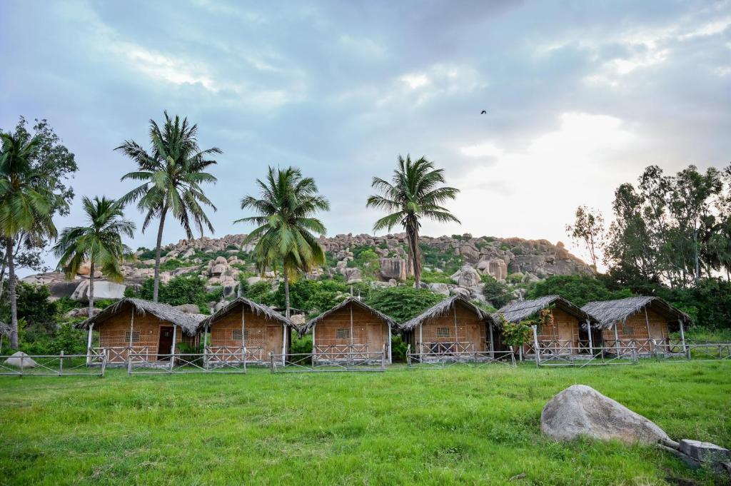 a group of huts in a field with palm trees at Hampi Firangi Cafe in Hampi