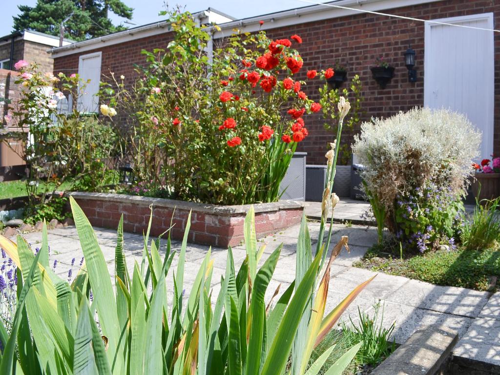 Un jardín con flores rojas en un edificio de ladrillo. en Jackdaw House, en Bridlington