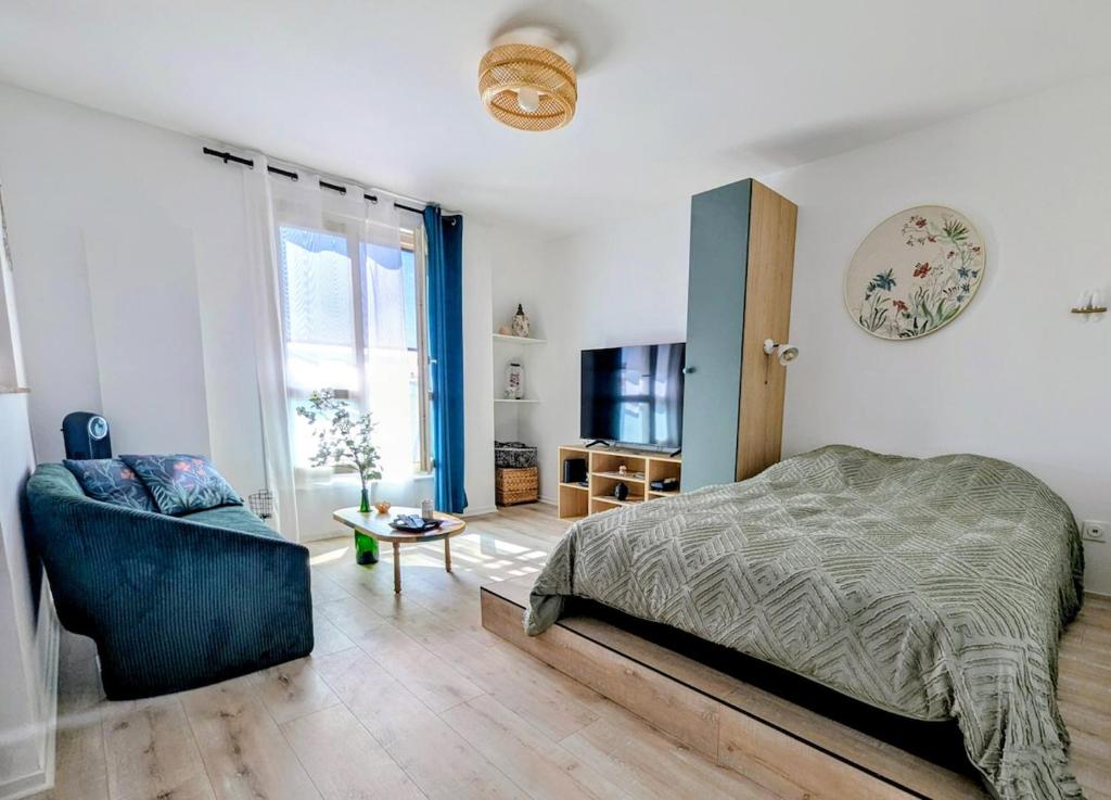 a bedroom with a bed and a couch and a tv at Appartement ZEN - 5 minutes du centre, parking gratuit in Nancy
