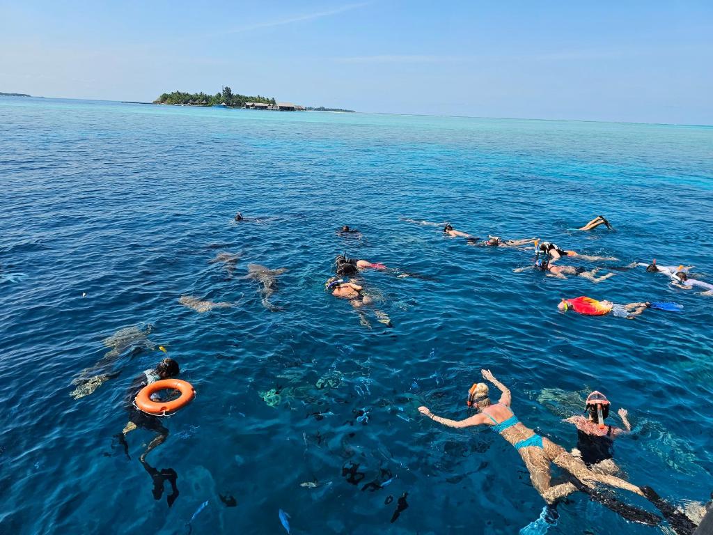 Lagoon View Maldives - View 21