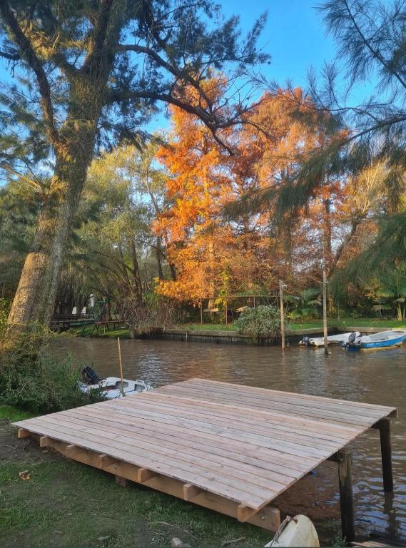 a wooden dock in the middle of a river at Cabaña entre arboles in Tigre
