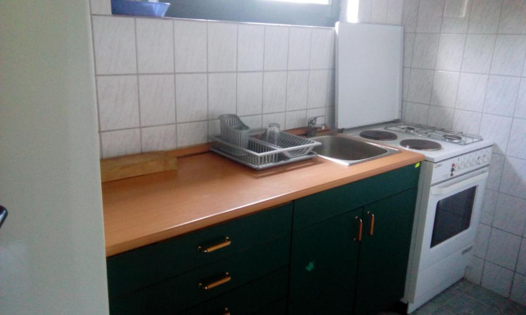 Kuchyň nebo kuchyňský kout v ubytování Planinska kuća