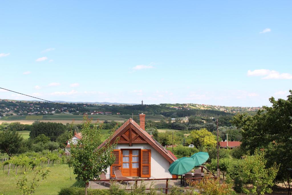 赫維茲的住宿－Panorama Wine & Chill，绿色田野顶上的一个小房子