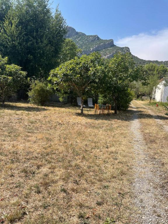 a group of animals standing under trees in a field at Aux portes des Cévennes in Saint-Hippolyte-du-Fort