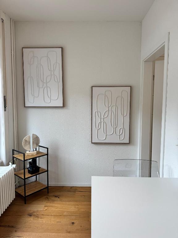 Apartment im Zentrum St Gallen - Resim 3