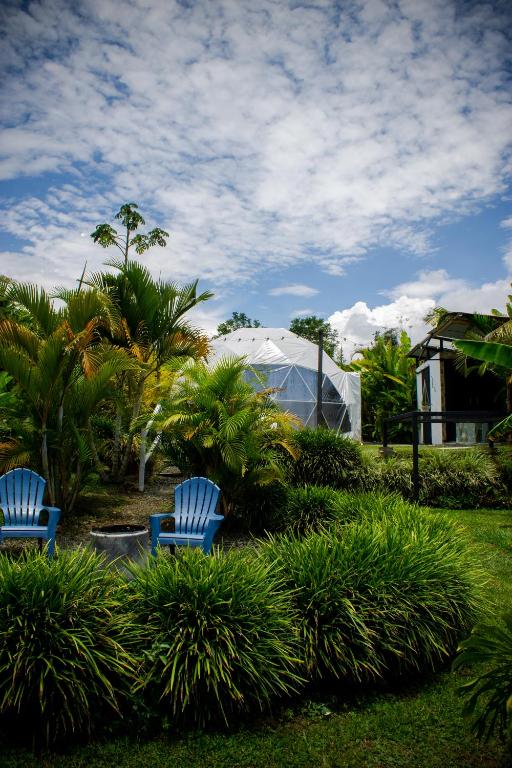 金巴亚Orange Eco Villas的院子里有两把蓝色椅子，院子里有棕榈树和一顶帐篷