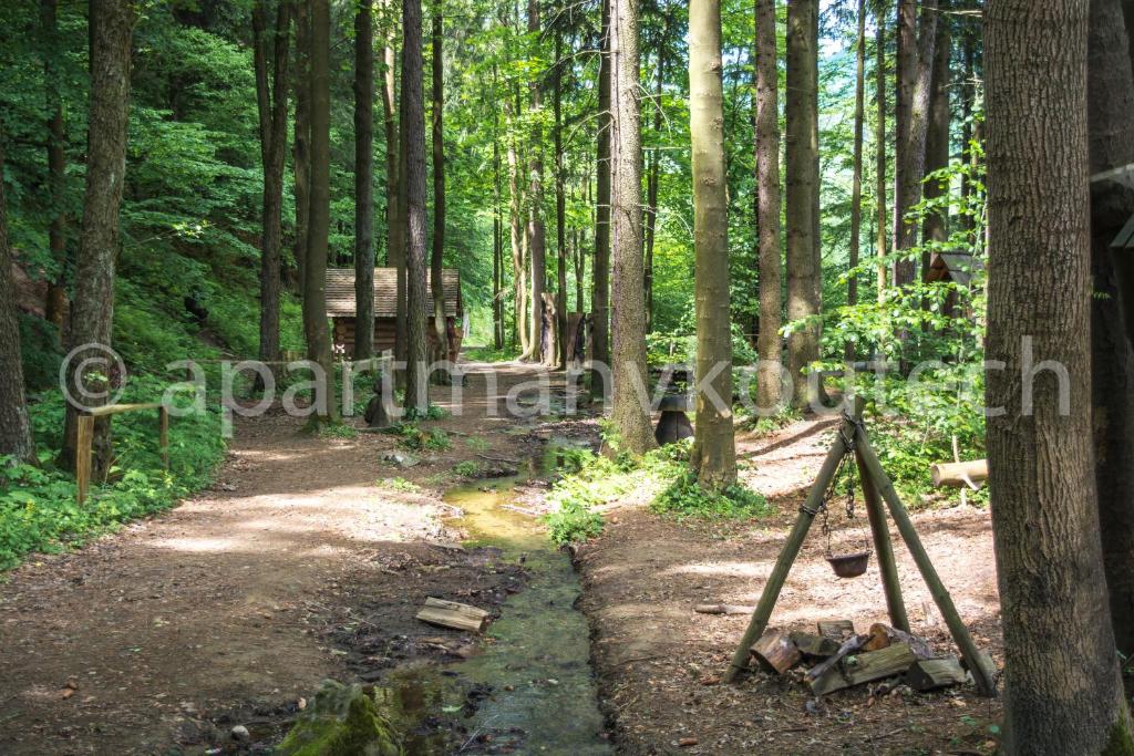 Příroda nedaleko apartmánu