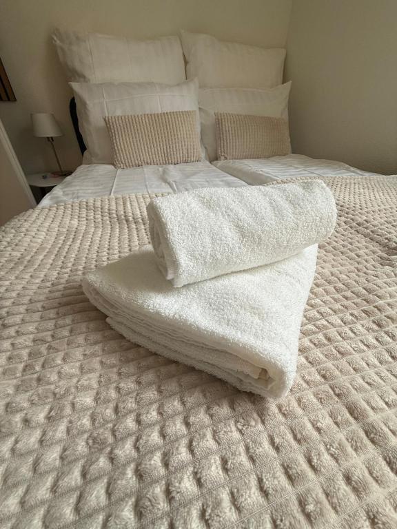 M&S Apartments - St Gallen City - 5 min Bahnhof