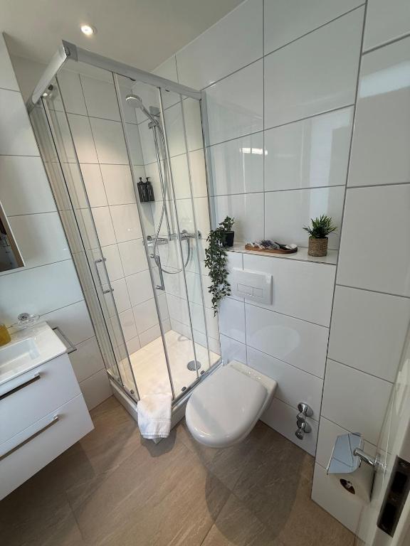 M&S Apartments - St Gallen City - 5 min Bahnhof - Resim 8