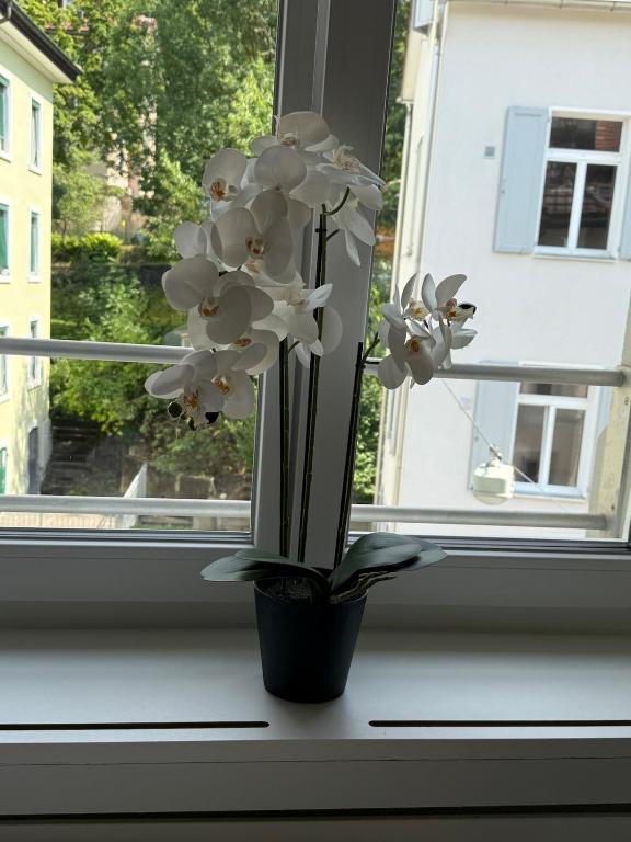 M&S Apartments - St Gallen City - 5 min Bahnhof - Resim 17