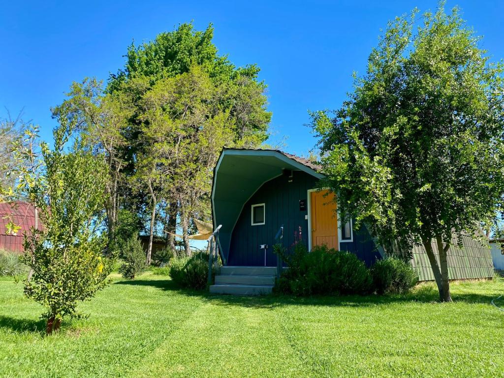 a small house with a green roof on a yard at Anita y Tomás - COLCHAGUA - Santa Cruz - Ruta del Vino in Nancagua