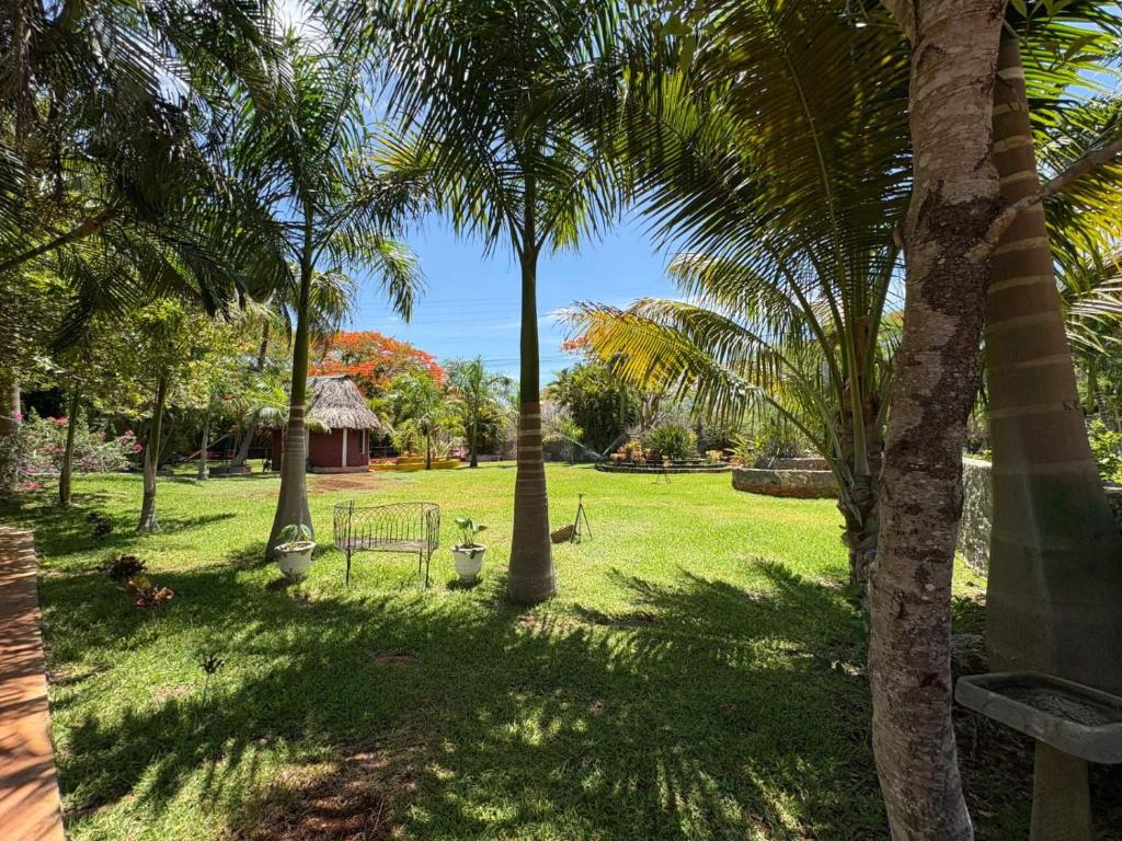 a park with palm trees and a bench in the grass at Quinta Flor de Mayo 