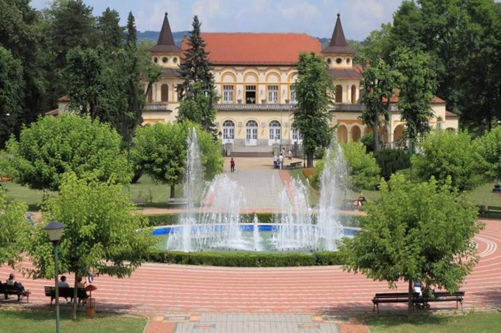 a fountain in front of a large building at Hotel Royal Spa in Banja Koviljača