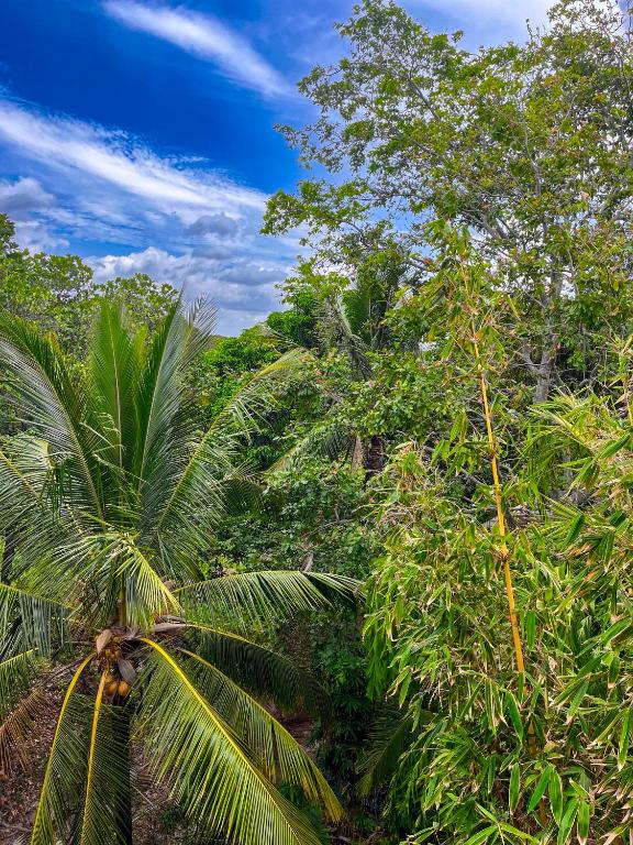 Sundaras Infinity Jungle Resort - 5