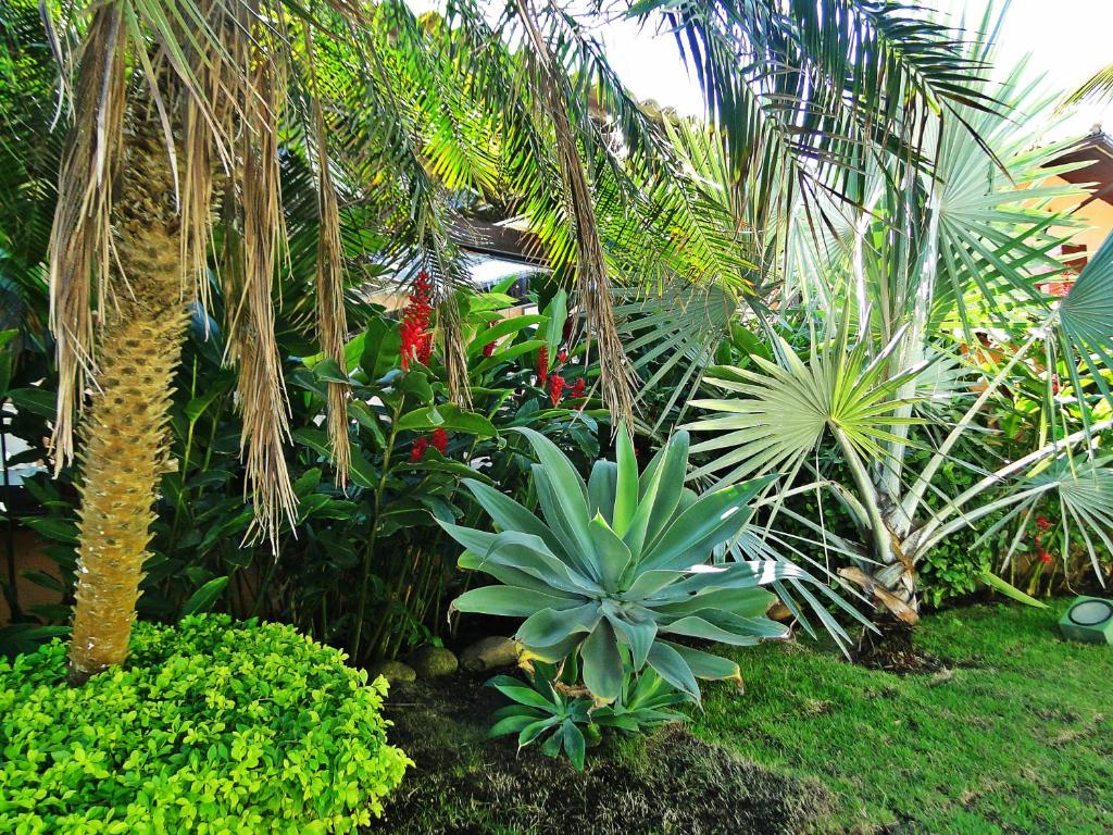  Pousada Marbella Inn
