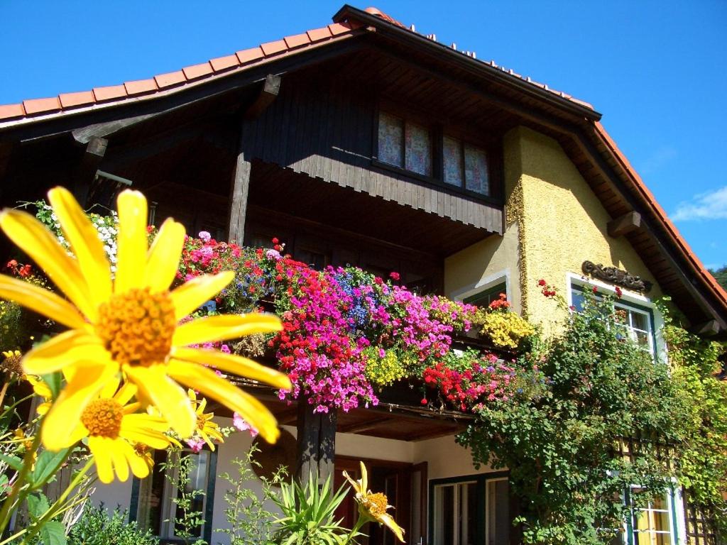 a yellow flower in front of a house with flowers at Landhaus Egger in Seeboden