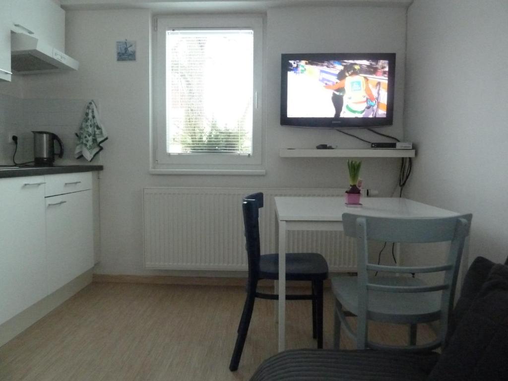 TV a/nebo společenská místnost v ubytování Apartment Red Tree