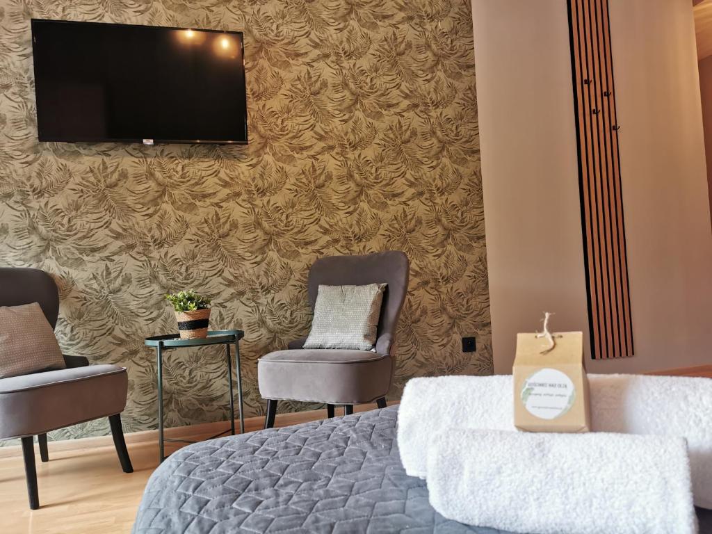 Gościniec nad Olzą - 18