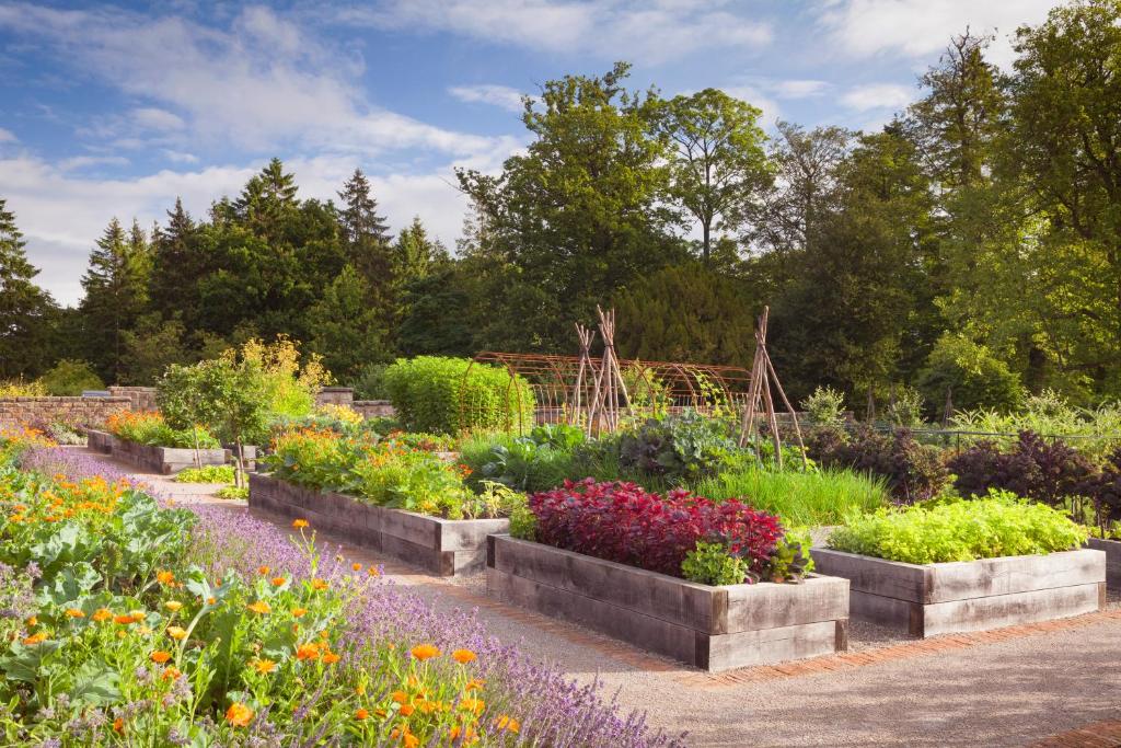 a garden with many different types of flowers at Rudding Park in Harrogate