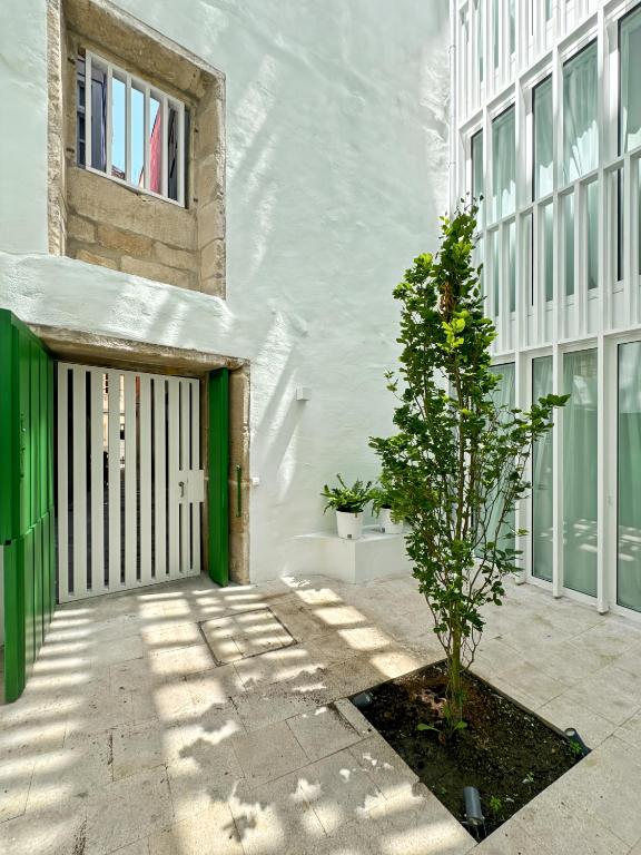 a tree in front of a white building with a door at housingcoruña RUA DO ANXO in A Coruña