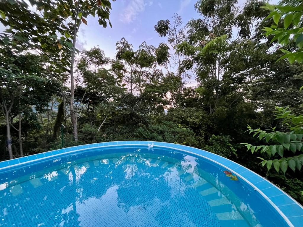 a blue swimming pool with trees in the background at Jardín Secreto in San Martín
