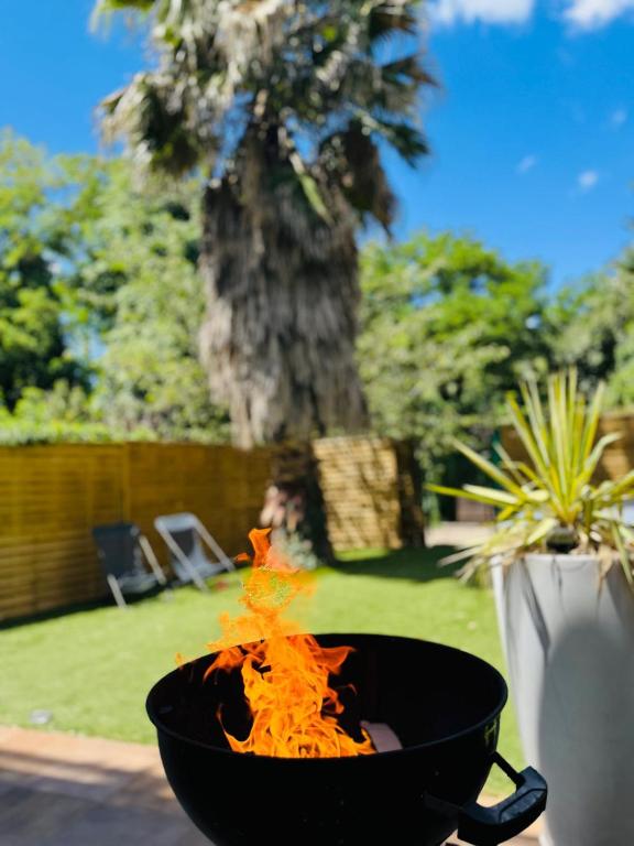 a black grill with fire in a backyard with a palm tree at Maison Frappaz in Villeurbanne