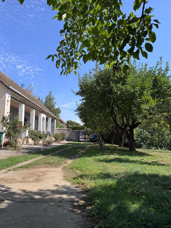 un arbre dans une cour à côté d'une maison dans l'établissement Vinarija Ljutica Winery Ljutica, à Lovćenac