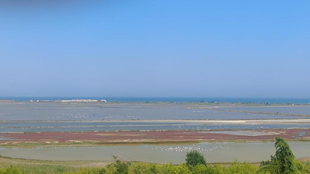 a large body of water with birds in the water at Wild lakes home in Burgas City