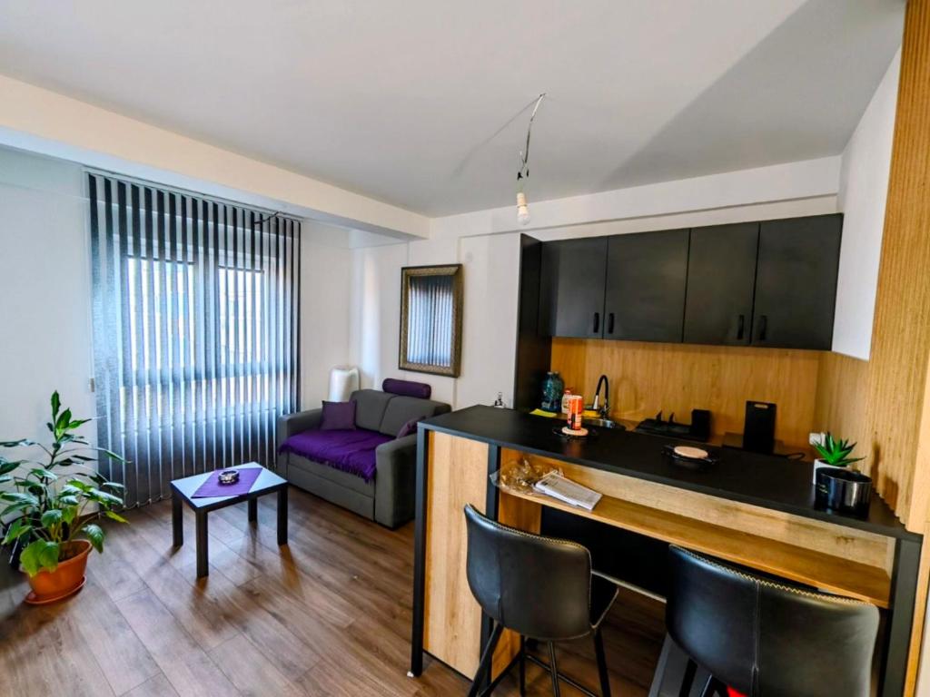 a kitchen and a living room with a couch at Apartman Kladovo in Kladovo