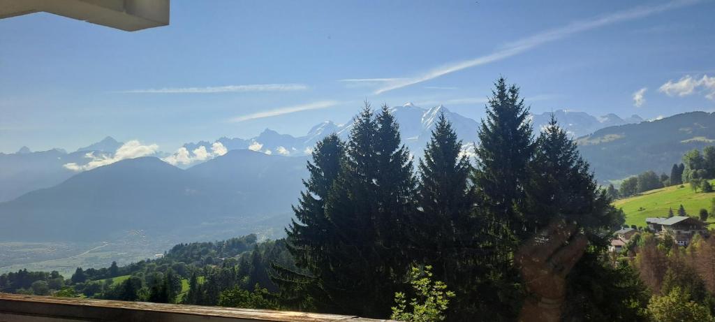 eine Gruppe von Bäumen auf einem Hügel mit Bergen im Hintergrund in der Unterkunft AP-37 La Grande Cordée Combloux in Combloux