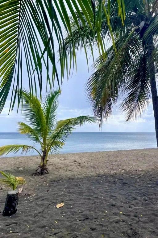 BnB MARTINIQUE, sejour Caraibes en 1ere ligne, marina Fort de France - 一卧室公寓