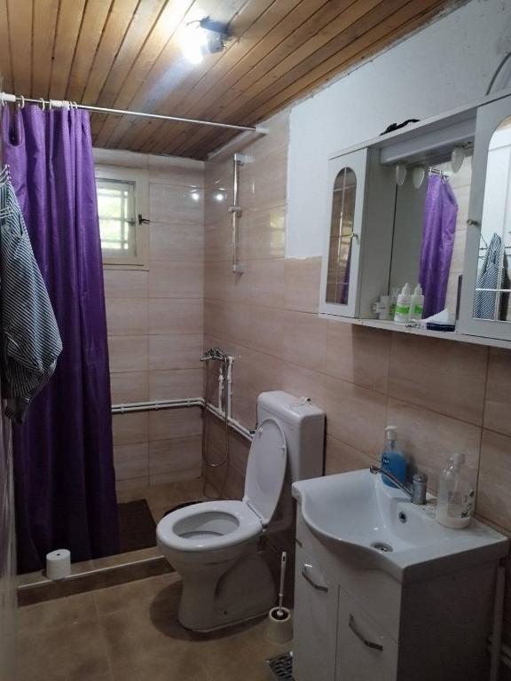 un baño con inodoro y lavabo en Kuca u Zitoradji, en Žitorađa