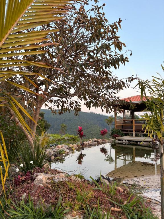 a pond in a garden with a tree and a bench at Santuário Panacéia in Piracaia